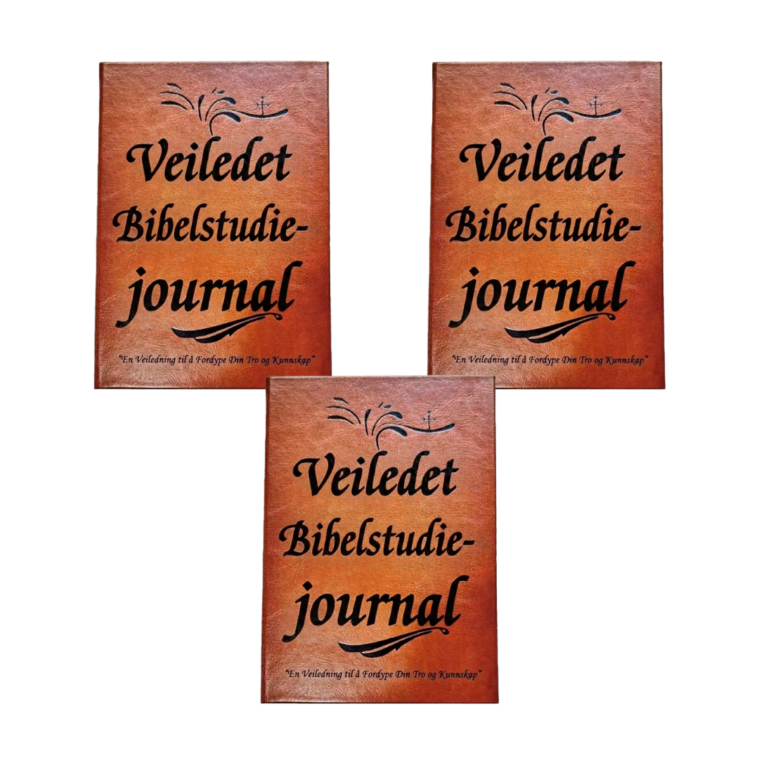PRACTS Veiledet Bibelstudiejournal - NO